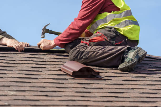 Best Metal Roofing Contractor  in Port Richey, FL