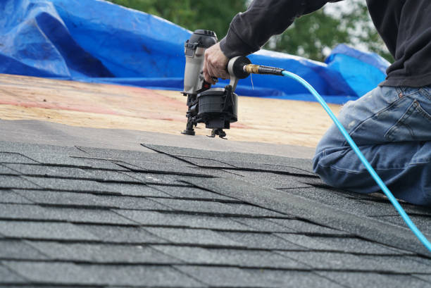 Best Shingle Roofing Installation  in Port Richey, FL