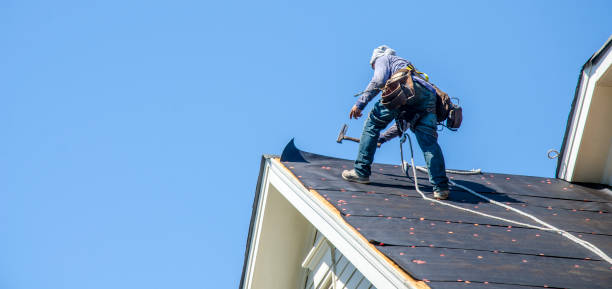 Best Roof Restoration Services  in Port Richey, FL